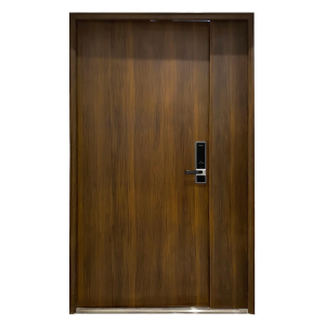 cửa chống cháy EI60
